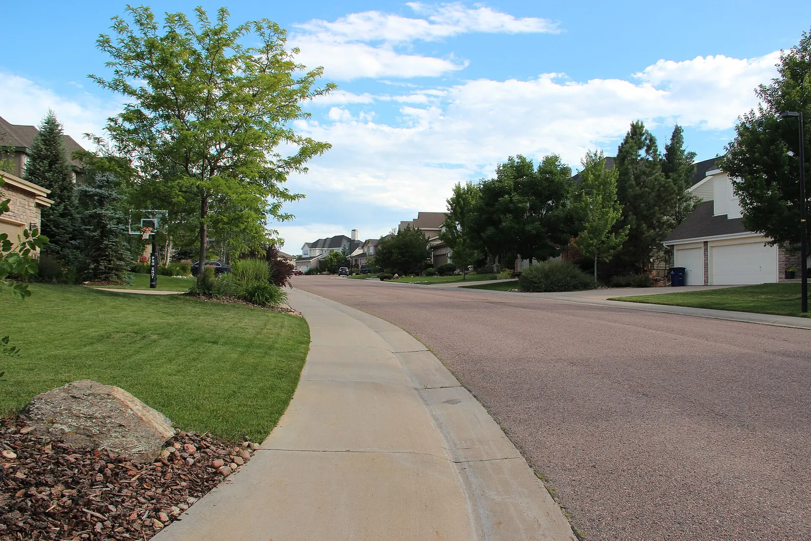 Tree-lined residential street and homes in Castle Pines, Colorado